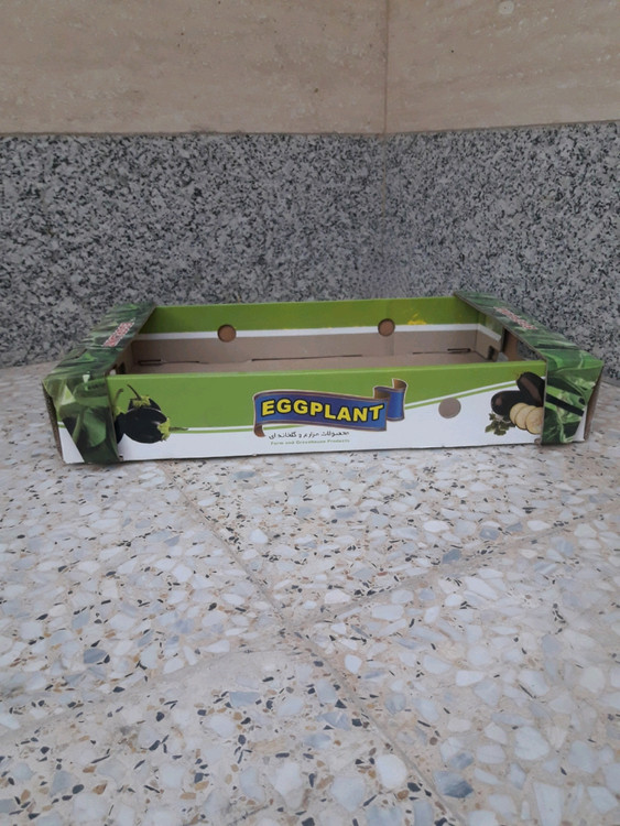 کارتن لمینیتی بادمجان