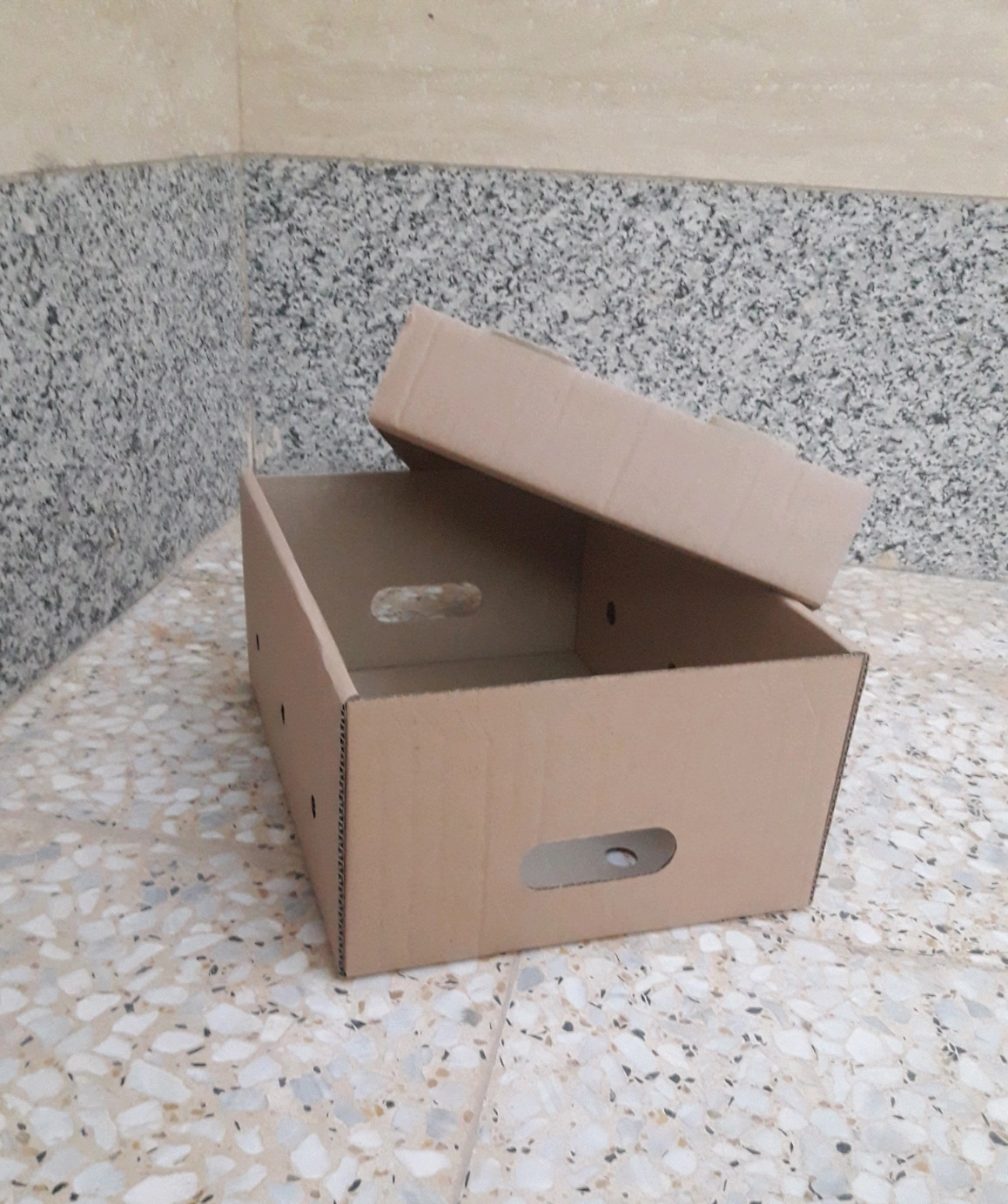 کارتن پنج لایه فلفل دلمه