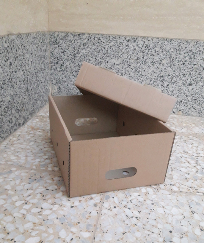 کارتن پنج لایه فلفل دلمه