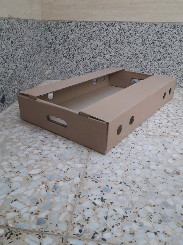 کارتن فلفل گوجه کارتن بادمجان