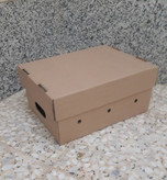 کارتن فلفل دلمه جعبه فلفل دلمه