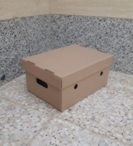 کارتن بادمجان کارتن فلفل دلمه کارتن آیسبرگ