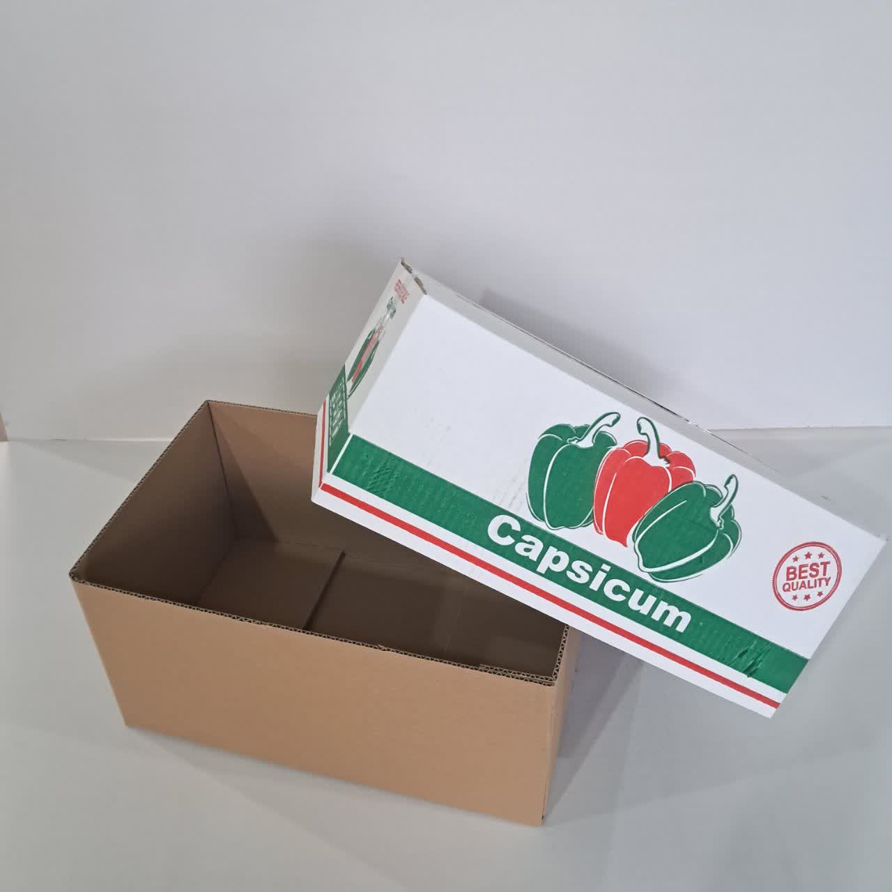 کارتن تلسکوپی فلفل دلمه