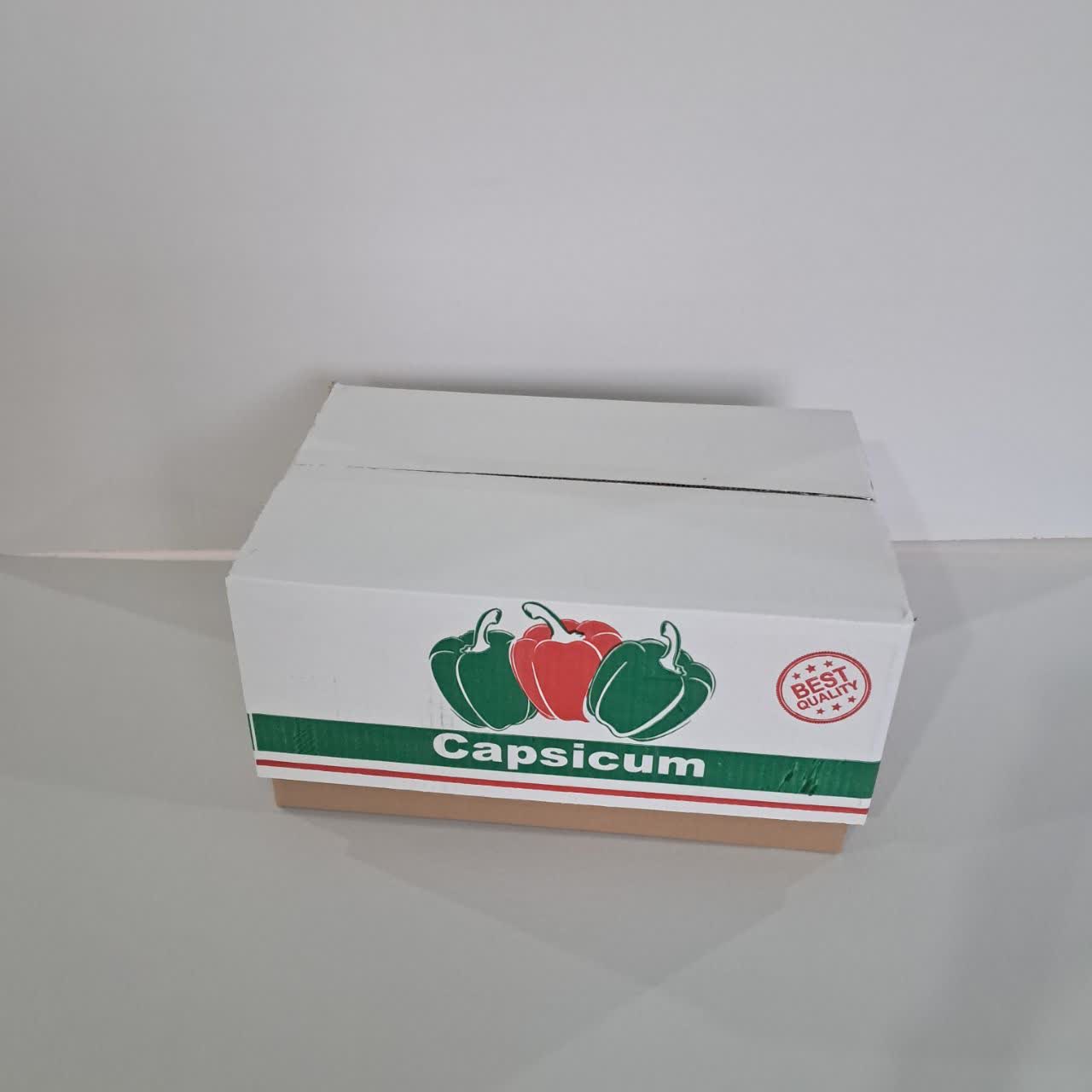 کارتن فلفل دلمه