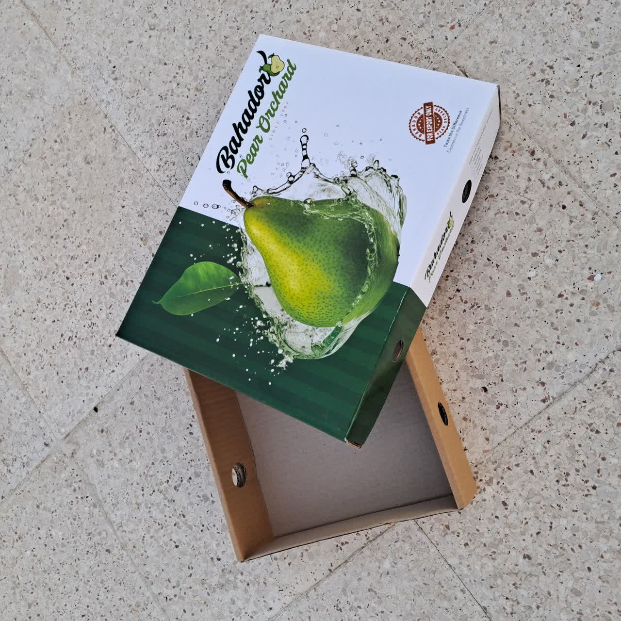 کارتن تلسکوپی گلابی لمینیتی